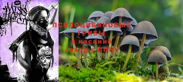 спайс Каменногорск