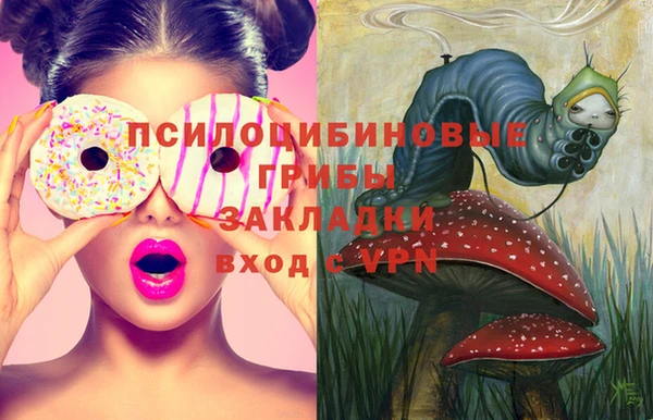 спайс Каменногорск