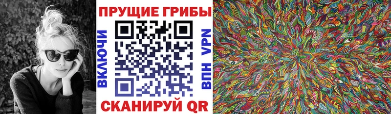 Купить закладки  Урюпинск  Псилоцибиновые грибы мицелий 